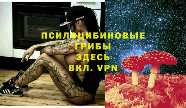 мяу мяу мука Кинешма