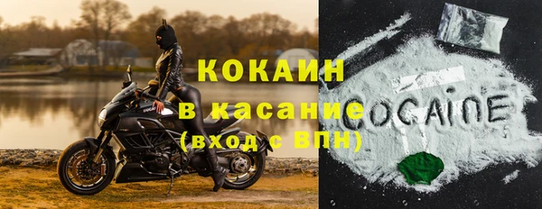 шишки Киреевск